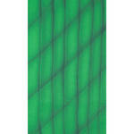 Botero 074 Muslin Background (10 x 12', Green, Dark Green )