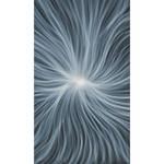 Botero 076 Muslin Background (10 x 24', Black, White )