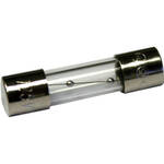 National Optical & Scientific Instruments 801-100 Replacement Fuse (110V/1.0 Amp)