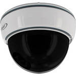 Svat ISC301 Imitation Dome Security Camera with Flashing Red LED