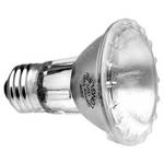Sylvania / Osram 50PAR20/HAL/NSP10 (50W/120V) Lamp