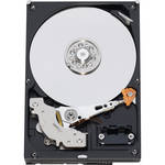 Western Digital 160 GB 3.5" IDE-PATA Internal Drive