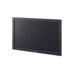 Sony 42" HIGH GRADE 3D LCD MONITOR WITH BKM250T3