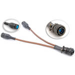 Speedotron Y-Cord for 2 Heads