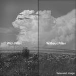 Kodak 4 x 12" #11 Wratten 2 Filter