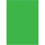 Westcott X-Drop Background (5 x 7', Green Screen)