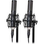 Royer Labs R-101 Ribbon Microphone Matched Pair