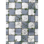 Savage Floor Drop 5 x 7' (Aged Pavers)