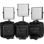 Flolight MicroBeam 3- 1024 Standard 3 Light Kit with Deluxe Carrying Bags
