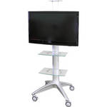 Hamilton Buhl Rolling Flat Panel TV Stand