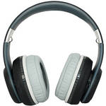 Fanny Wang 3000 Series Over Ear Wangs Noise Canceling Headphones (Black)