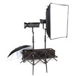 Bowens Gemini 500 Classic 2 Light TravelPak Kit with Pulsar TX Radio Remote (120V)