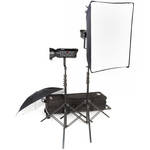 Bowens Gemini 250R 2 Light Umbrella Kit with Pulsar TX Radio Remote (120V)