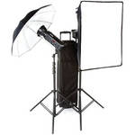 Bowens Gemini 500Pro 2 Light Kit with Pulsar TX Radio Remote (90-250V)