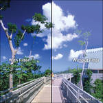 Tiffen 86mm (Coarse Thread) Combination 85 Color Conversion and Linear Polarizing Filter