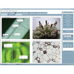 Swift MoticNet Suite (1:24 Configuration)