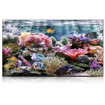 Orion Images 55RNAS 55" D-LED AV Video Wall Monitor