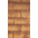 Botero M05757 Muslin Background for Rotary System (5 x 7', Brick Brown, Beige)