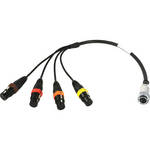 Remote Audio CADEV16F12IN Line Input Cable (9-12) for Deva 16 & Fusion 12