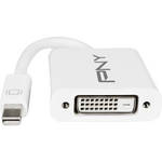PNY Technologies MINI DISPLAYPORT TO DVI ADAPTER