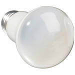 Eiko R-19 Modeling Lamp (100W/120V)
