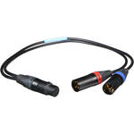 Cable Techniques XLR/5/F to 2-XLR/3/M Y CBLS/18"/BLACK