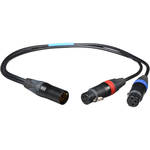 Cable Techniques 2-XLR/3/F to XLR/5/M Y CBLS/18"/BLACK
