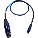 Cable Techniques XLR/3/F-TA5F CBL /MIC LVL LECT LEG/24"