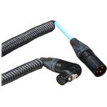 Cable Techniques XLR3F R/A - XLR3M f/CAMERA MNTD MICS