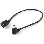 Tether Tools 12"MINI-B USB 2.0 R/A CBL ADAPTER(BLK)
