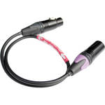Rycote TACT!T FILTER CABLE 18"/XLR3F to XLR3M