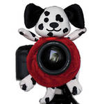 Shutter Huggers Dalmatian Shutter Hugger