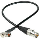 Laird Telemedia Red One Video 3G SDI DIN 1.0/2.3 to BNC-F Adapter Cable (Black, 1')