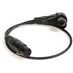 Remote Audio XLR3F to XLR5MR/A CBL f/HI-DEF CAMERAS