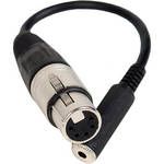 Remote Audio HI-DEF 5-P to 1/8" RETURN CBL ADPTR/4"