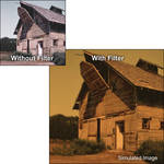 LEE Filters 4x4" Sepia 3 Special Color Effect Resin Filter