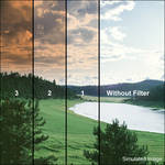 LEE Filters 4x6" Graduated Sepia 2 Resin Filter - Soft Edge