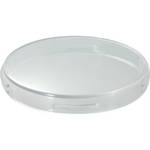 JVC Lens Protector for ADIXXION Action Camcorder 