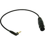 Remote Audio XLR3F to 3.5mm Right Angle Balanced Input Adapter for Red Epic and Scarlet - 1'