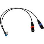 Remote Audio Y Cable Output for SR5P Receiver - 18"
