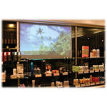 Elite Screens IRP5x20V2 Insta-RP 2 Whiteboard & Pliable Projection Screen