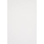 Backdrop Alley Commando Cloth Backdrop (10 x 24', White)