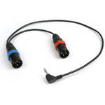 Remote Audio 2-XLRM to STEREO MINI PLG R/A / 18"