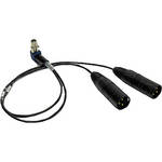 PSC 14" (SHOWING) TAIF-RA -2 XLR MA SR CAM