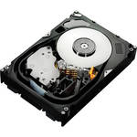 HGST VIPER C 300GB/15K-RPM SAS INTERNAL DRV
