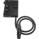 Laird Telemedia Anton Bauer Gold Mount Style Battery Plate with 4-Pin Female XLR