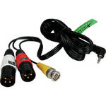 Delvcam AV CABLE 3.5MM TRRS TO BNC