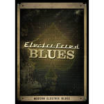 Big Fish Audio Electri-Fried Blues DVD (Apple Loops, REX, WAV, RMX and Acid Formats)