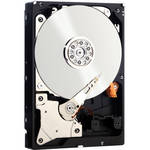 Western Digital 3 TB WD RE SATA 3.5" Hard Drive