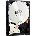 Western Digital 3 TB WD RE SAS 3.5" Hard Drive